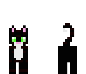 black and white cat