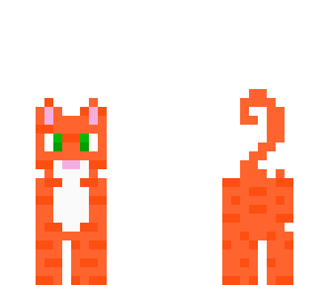 tabby cat