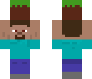 grass steve