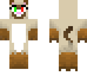 siamese cat