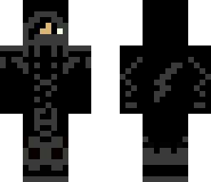 ninja skin