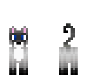 simese cat