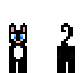 kitty cat