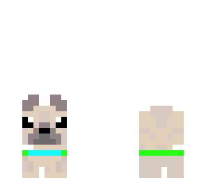 bug