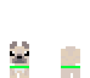 cute puggy