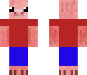 piggy with clothes