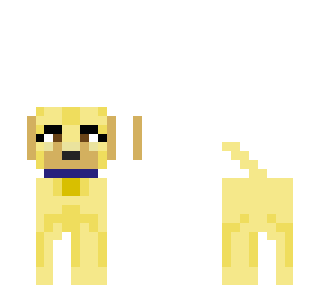 yellow lab