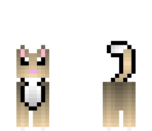 cream cat