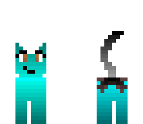 turquoise cat
