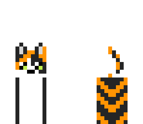 calico cat