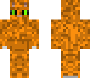 orange cat