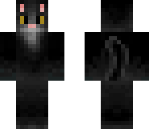 black cat