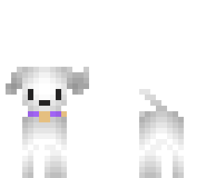 white cute dog