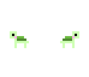 magic turtle