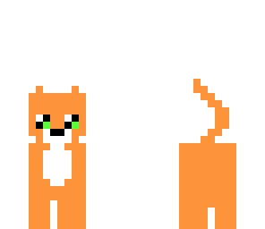little orange cat