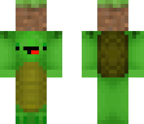small turtle
