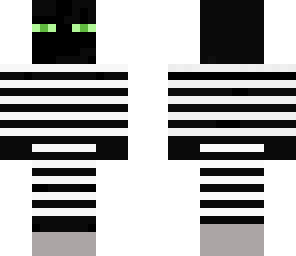 ender jailer