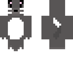 kitty cat