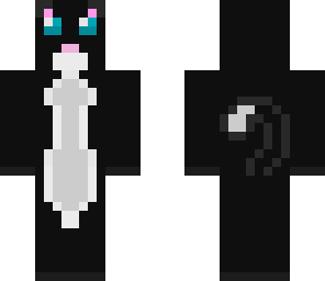 kitty cat