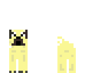 pug
