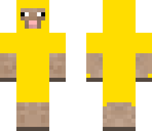 yellows sheep