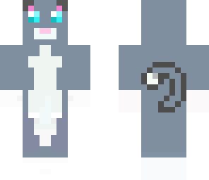 blue-grey kitten