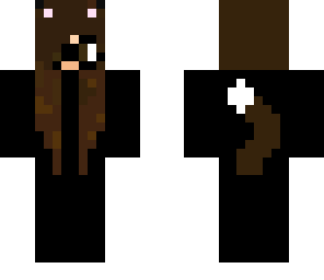 cat with glasses