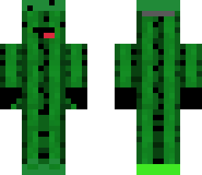 cacti