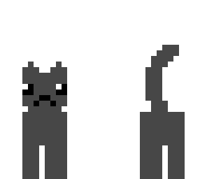 cute kitty