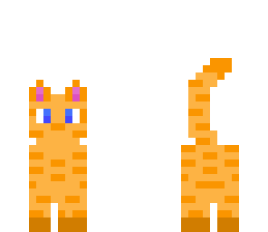 kitty cat
