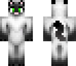 siamese cat