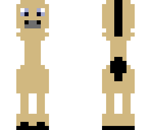 horse