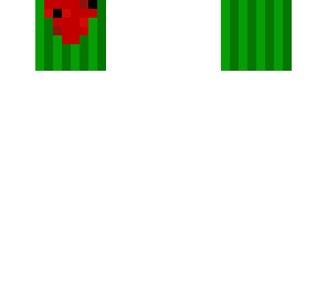 watermelon head