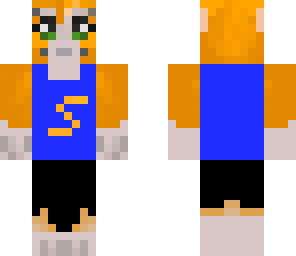 stampy b-ball