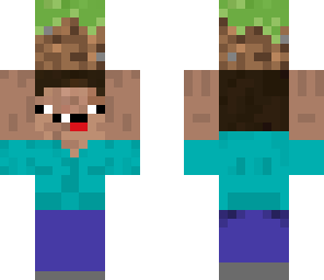happy dirt steve