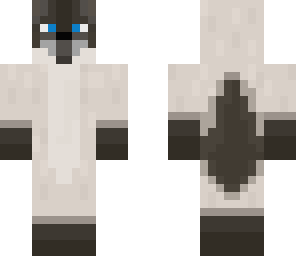 siamese cat man