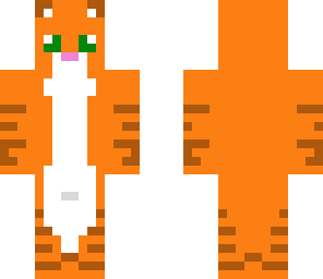 tabby cat
