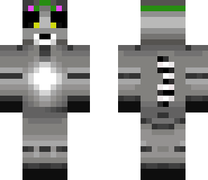 wild raccoon