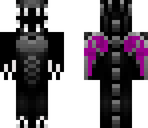 second ender dragon skin