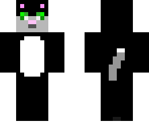 shadow the cat