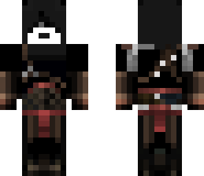 assassin cat