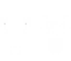basic skin