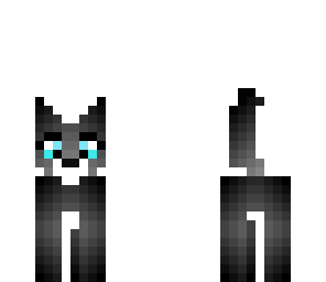black cat