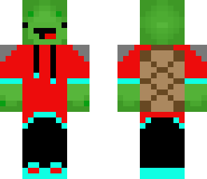 yolo turtle