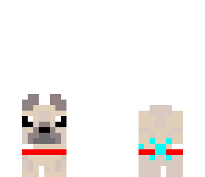 pug
