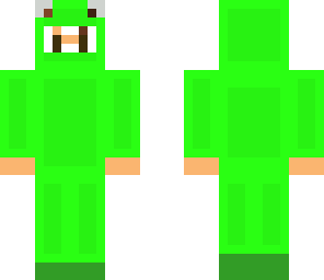 tom_teh_turtle