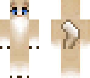 rainbowkoala caveclan cat