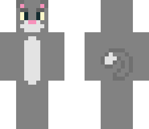 grey cat