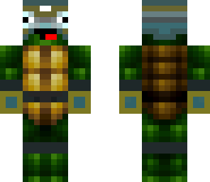paladin turtle