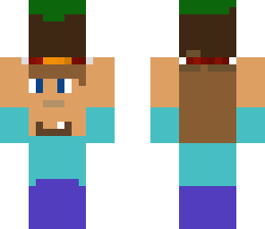 mini steve